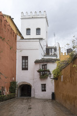 Fototapeta na wymiar paseando por las antiguos calles de la judería de Sevilla y hoy llamado barrio de Santacruz
