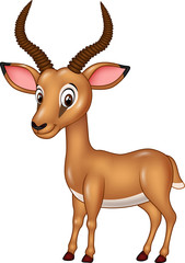 Cartoon funny impala isolated on white background