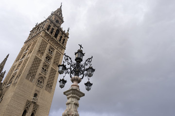 Fototapeta na wymiar famosa torre llamada la Giralda de Sevilla
