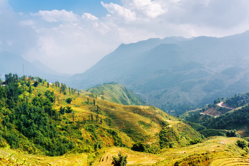 Naklejka premium Sunlit rice terraces at highlands of Sa Pa, Vietnam