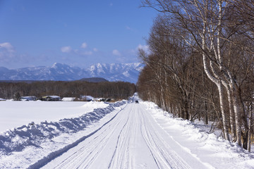 真っ白な雪道