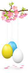 Ostereier Banner, hängend an einem Kirschblütenzweig. Ostergrüße - Grußkarte mit Freiraum für Text. Hintergrund Designvorlage - Kirschblüte, Zweig, Osterei, bemalt - Easter Egg - Happy Easter.