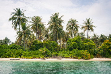 A white sandy beach and tropical vegetation on the island of Gosong Tengah, Karimunjawa, Indonesia.