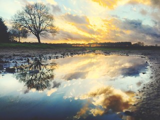puddle reflected sunrise