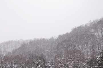雪景色　北海道