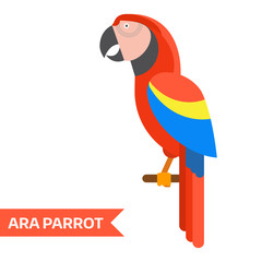 Red Ara Tropical Parrot Icon