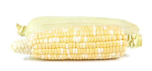 Yellow corn on white background.