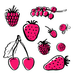 Vector hand draw food