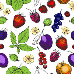 Seamless vector hand drawn pattern with fruits and berries
