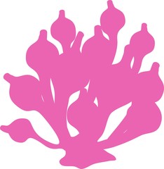 silhouette of Bubble anemone