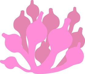 silhouette of Bubble anemone