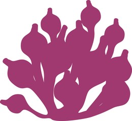 silhouette of Bubble anemone