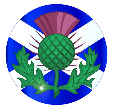 Scotish Flag And Thistle Button