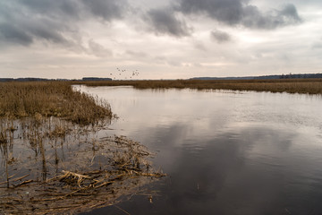 Wiosenna Narew © podlaski49