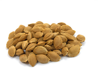 Aprikosenkerne, Apricot cores