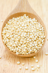 Raw organic quinoa seeds.