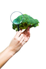 Fototapeta na wymiar Hands holding a magnifying glass over a broccoli with a sign 100% organic food 