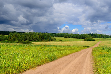 Fototapeta na wymiar Road in weak corn fields in Siberian countryside in Russia