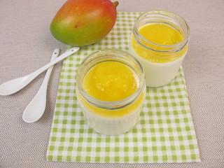 Joghurt aus dem Joghurtbereiter mit Mango