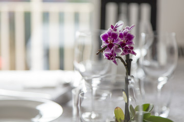 Decoration plant tableware on a white dining table