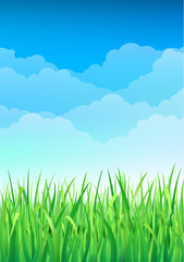 Green Grass and Blue Sky Background. Happy Summer Nature Illustration