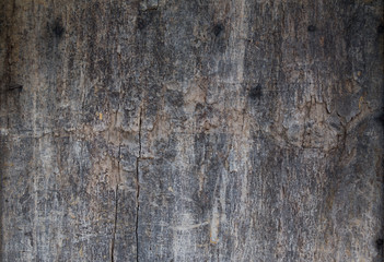 ancient wooden board, perfect grunge background