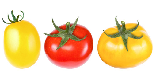 Red and yellow tomatoes, isolate on a white background close-up
