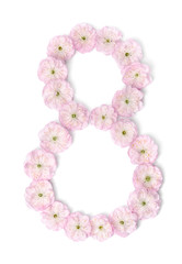 pink flowers in  shape of number eight on white background