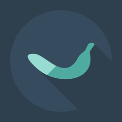 Flat modern design with shadow icons banana
