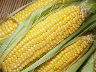 とうもろこし

