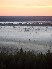 sunset over the forest in fog