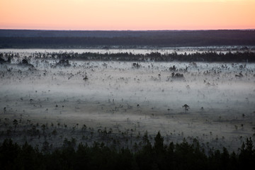 sunset over the forest in fog