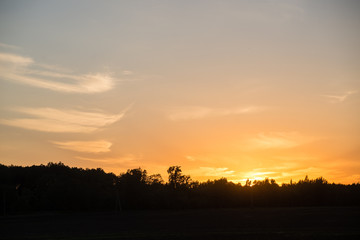 sunset over the forest in fog