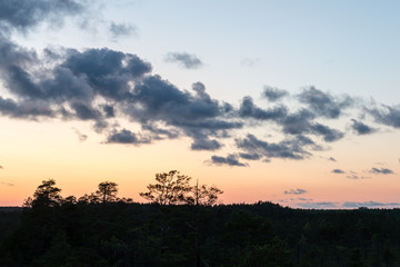 sunset over the forest in fog