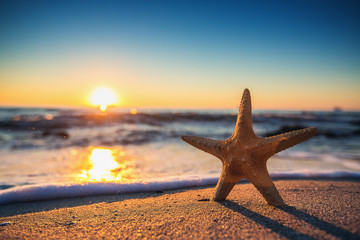 Naklejka na ściany i meble Starfish on the beach at sunrise