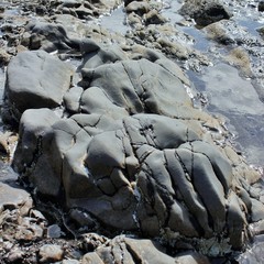 Sones on the beach, Fuerteventura, Spain