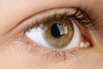 young female hazel eye with contact lens, macro photo