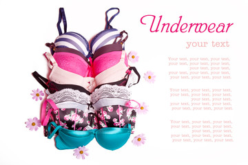 Colored lacy bra on the white background