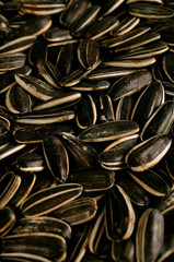 sun flowers seeds background