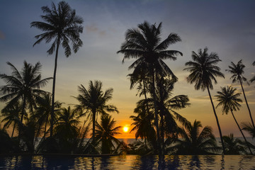 Fototapeta na wymiar Sunset with palm trees silhouette