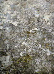 Stone surface   