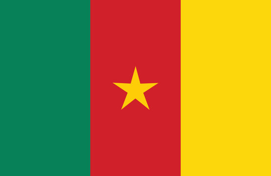 Cameroon flag.