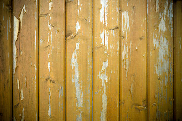 Wooden background. Brown texture of wood board