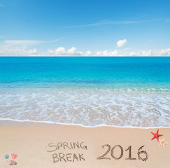 Fototapeta na wymiar spring break 2016 on the sand