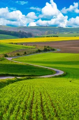 Fotobehang Landelijk landschap met groene velden, weg en golven, Zuid-Moravië, Tsjechië © Roxana