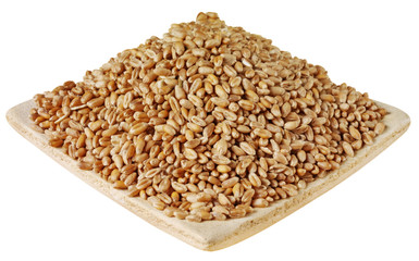 DISH OF WHOLEWHEAT CUT OUT