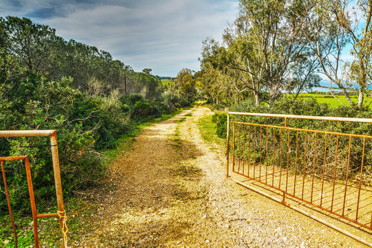 Open Gate In The Countryside