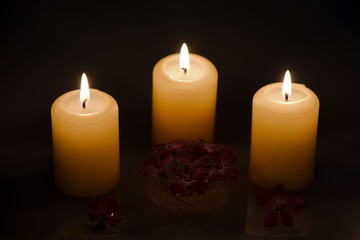 Three burning candles with water reflection and tiny purple flowers