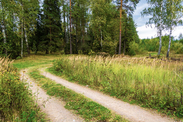 Forest road in early fall.