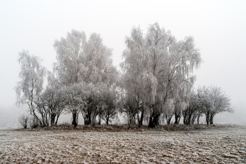 Poranny szron © podlaski49